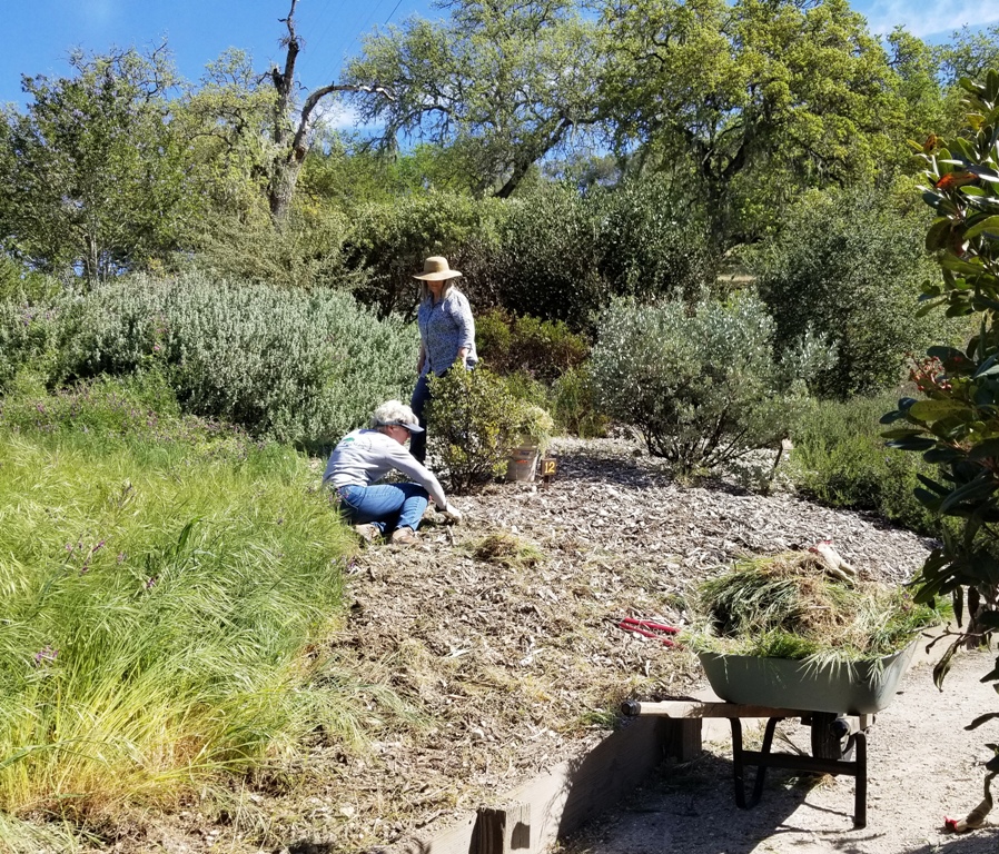 Deb and Deborah weeding the garden!